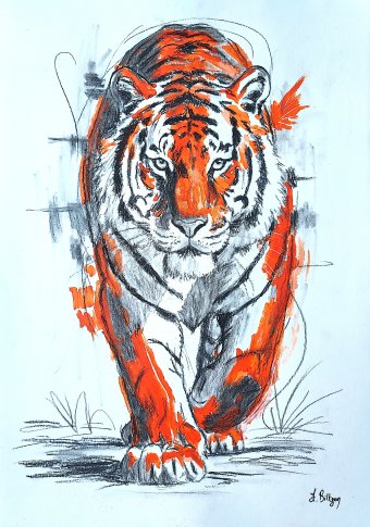 Flame and shadow