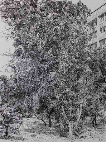 Gráfico "Árboles urbanos y naturaleza en la ciudad", ilustrador Spartak Chernyshov tinta papel en Jose Art Gallery