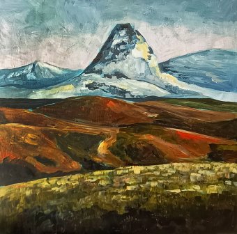 Silencio salvaje