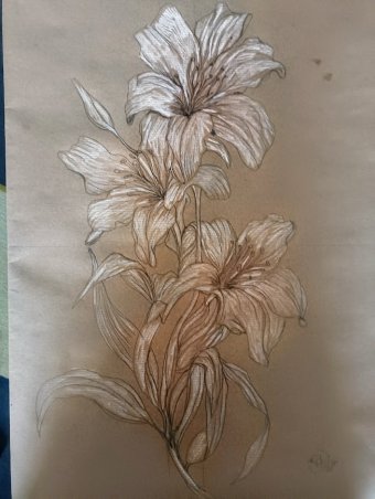 Graphique "Symphonie de terre et de lumière : Étude florale raffinée", illustrateur roberto ferrando crayon papier à la Jose Art Gallery