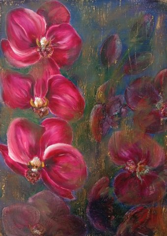 Echo of Wild Orchids