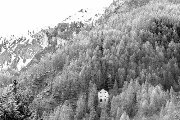 Under the Alpine Sky