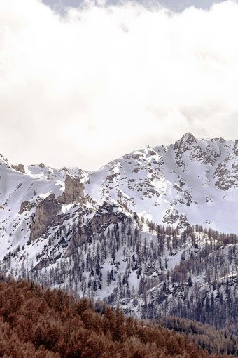 Alpine Refuge