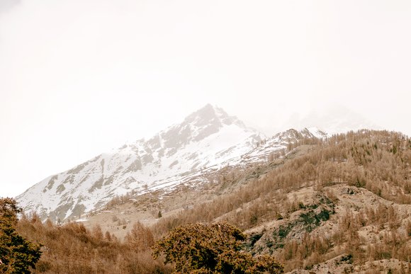 Alpine Beauty