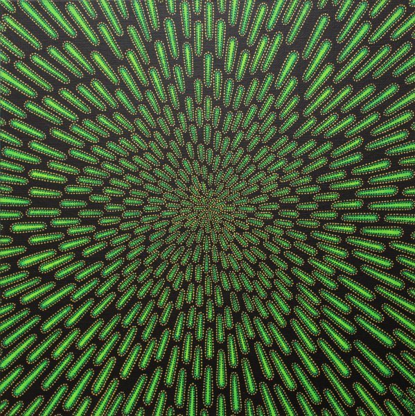 Contemporary Art Genre Painting Green particle by painter Jonathan Pradillon acrylic canvas 