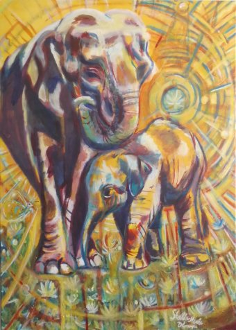 Elephant Family 2.0
