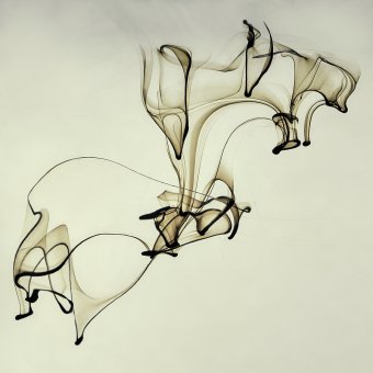 Fotografia "Serie Materia Composizione 33", fotografo Alessandro Idini alla Jose Art Gallery