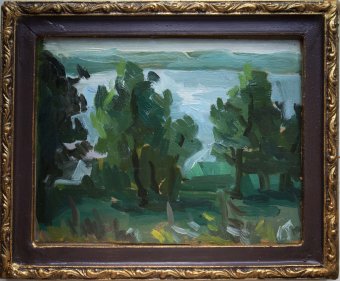 Malarstwo "Widok na rzekę (w ramie)", malarz Kateryna Bortsova olej karton w Jose Art Gallery