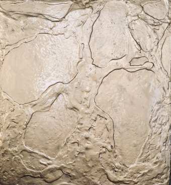 Painting "Golden expanse" by painter Machnolga acrylic plastic at Jose Art Gallery
