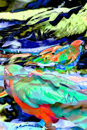 Digitale Kunst "Gelbbrustara", digitale/-r künstler/-in Sergio Luiz Cerezer Benetti Sergio in der Jose Art Gallery