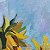Sunflowers – buy online