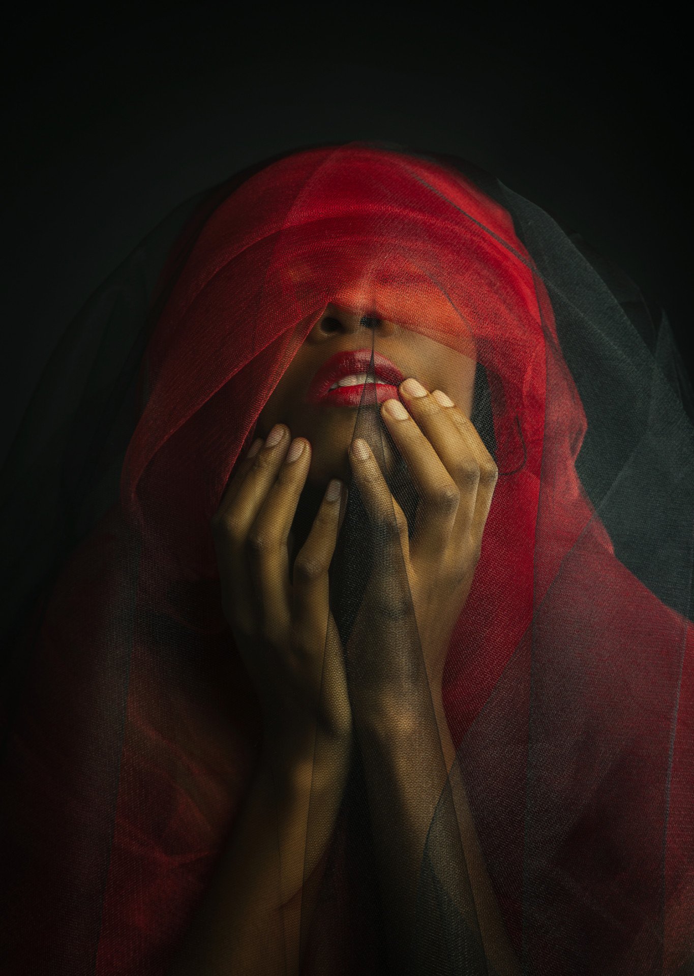 Red is the new Black II Painting by ANIL DEMIR