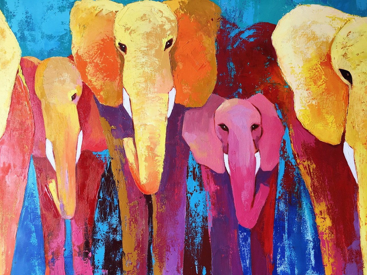 Elephants - buy