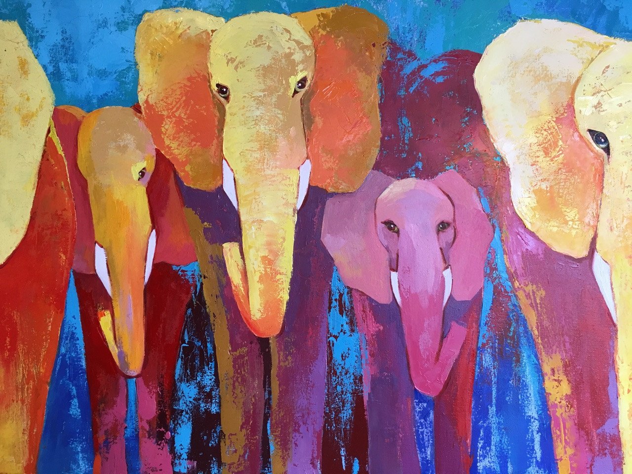 Elephants - buy online