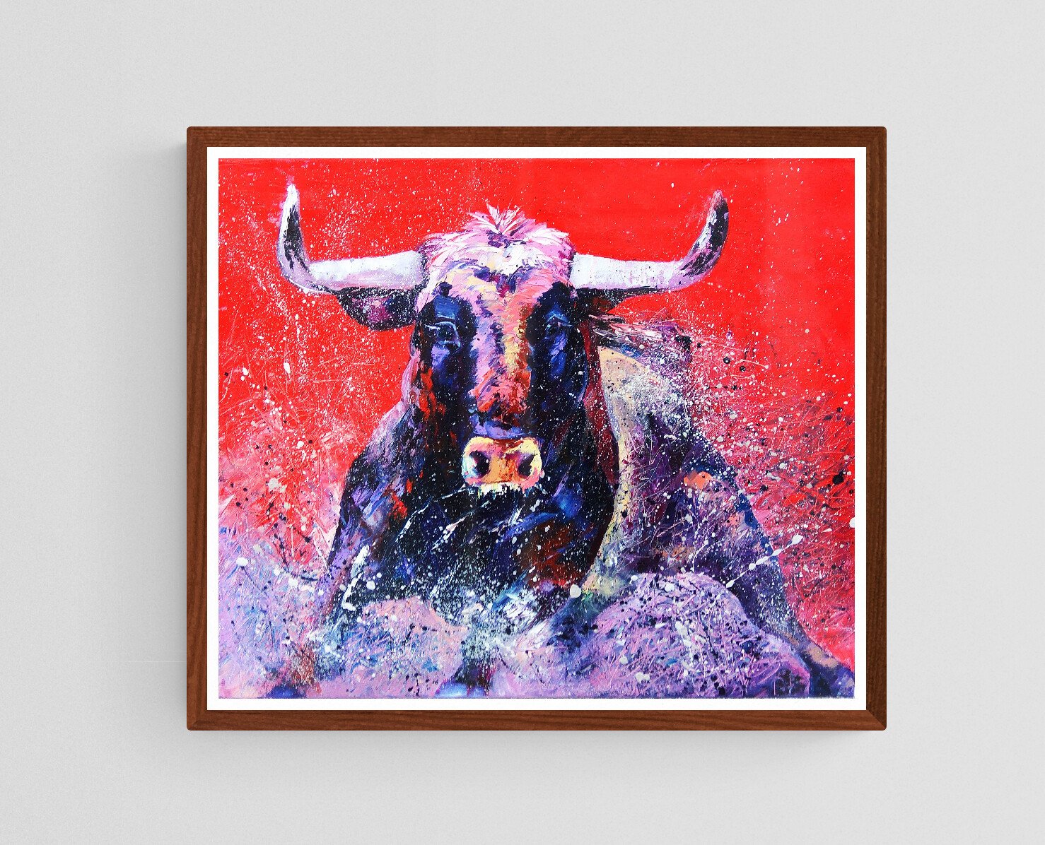 Fighting bull - buy