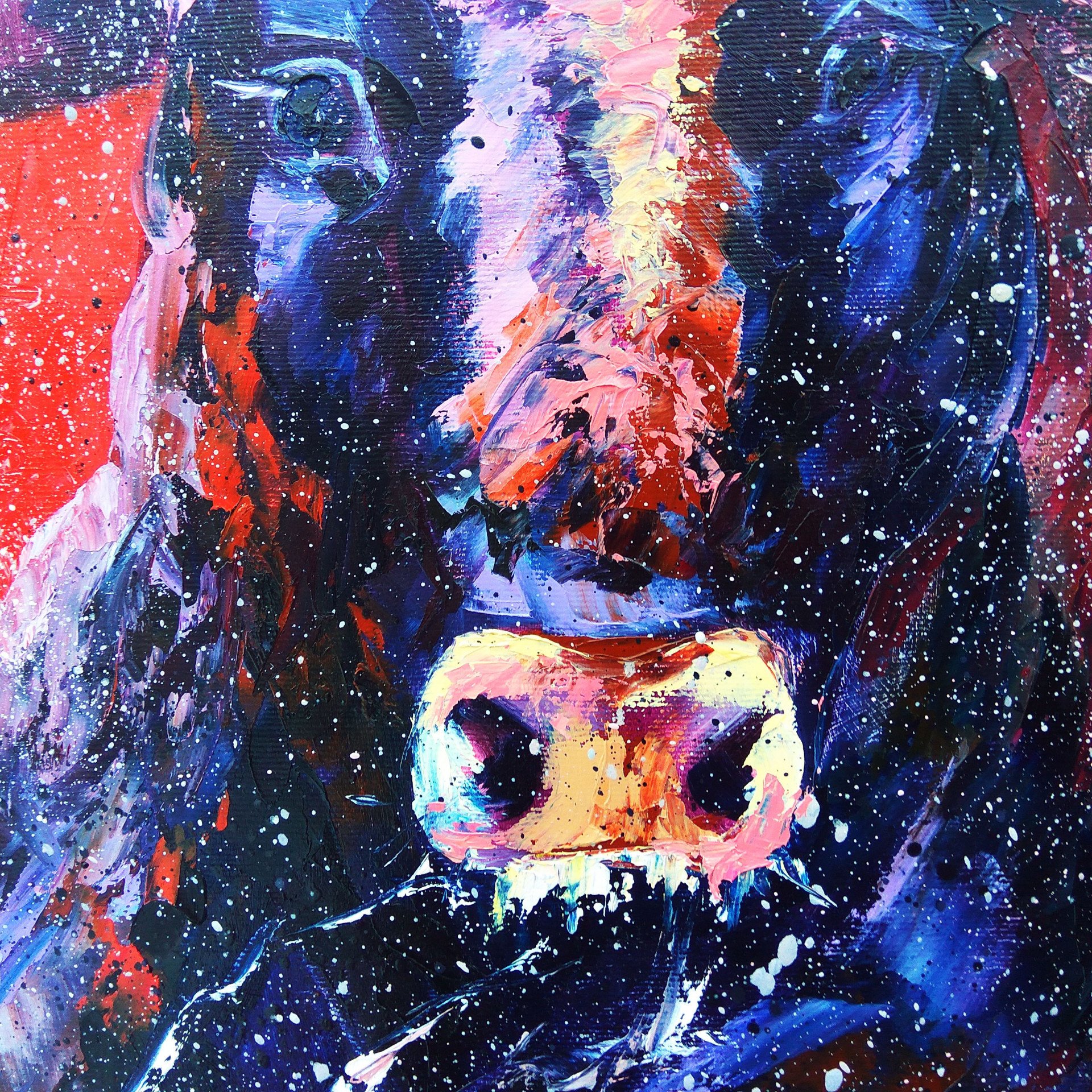Fighting bull - buy online