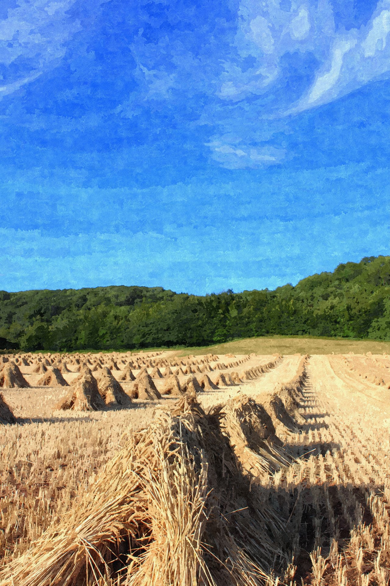 Wheat Stacks - buy
