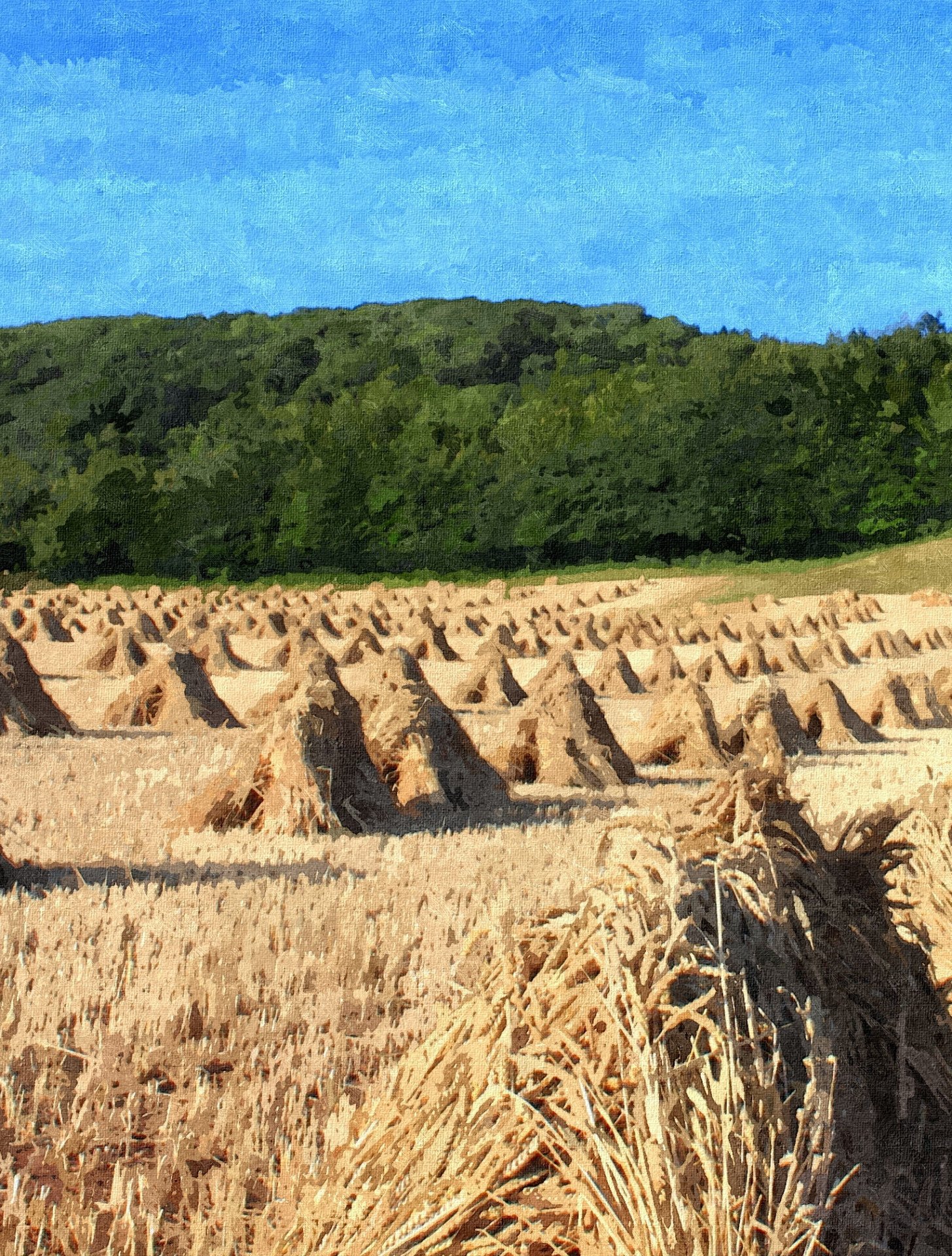 Wheat Stacks - photography