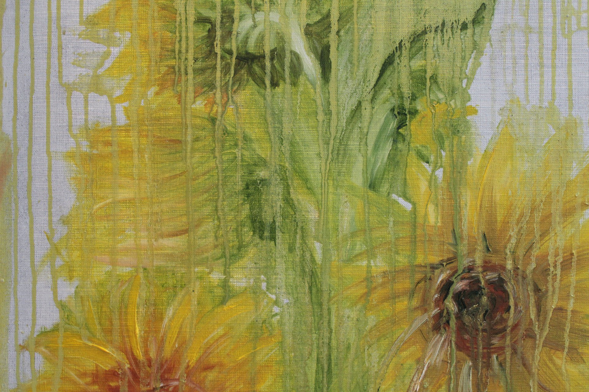 Sunflowers in the rain - order