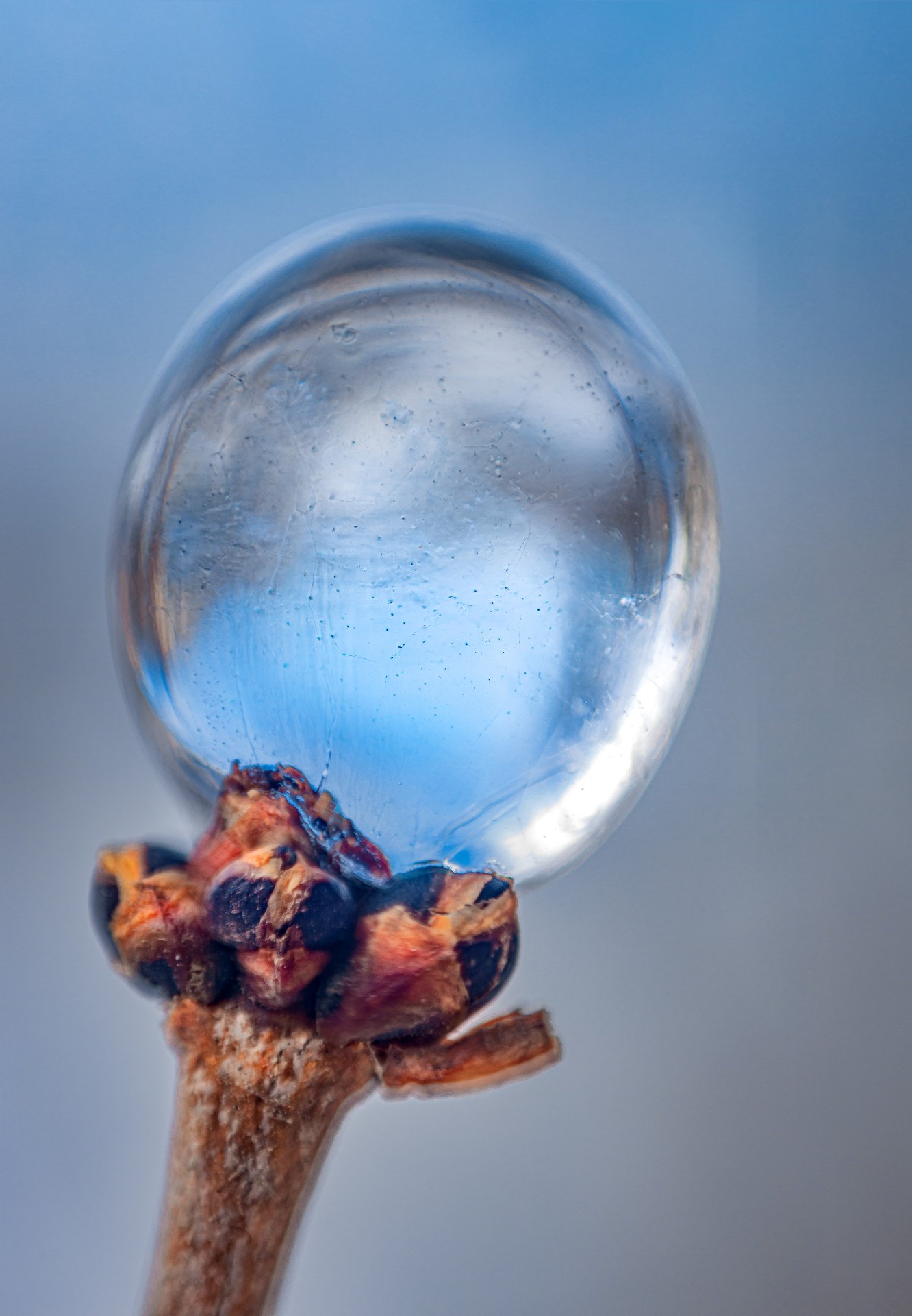 Ice Photography - Tatiana Khodova - Jose Art Gallery