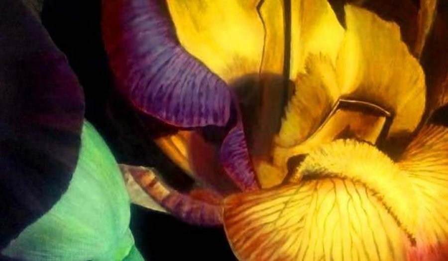 Exciting irises Painting by Victoria Baranovich