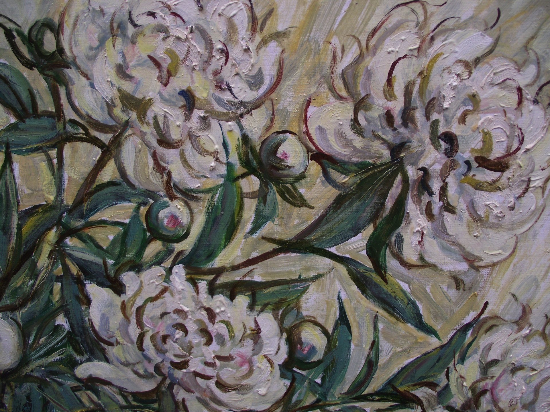 White peonies in a vase. - buy