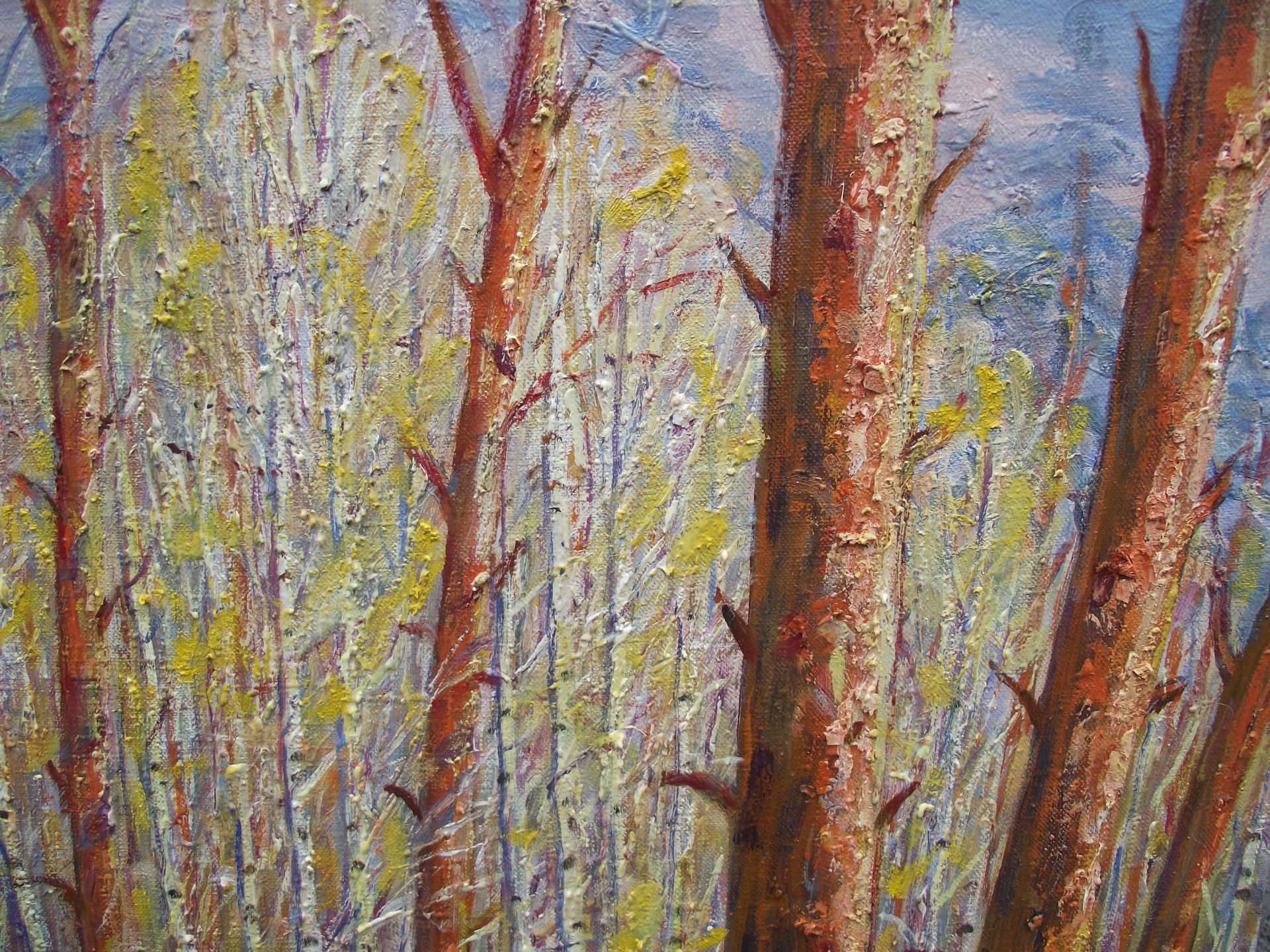 Pine trees in the forest. - painting