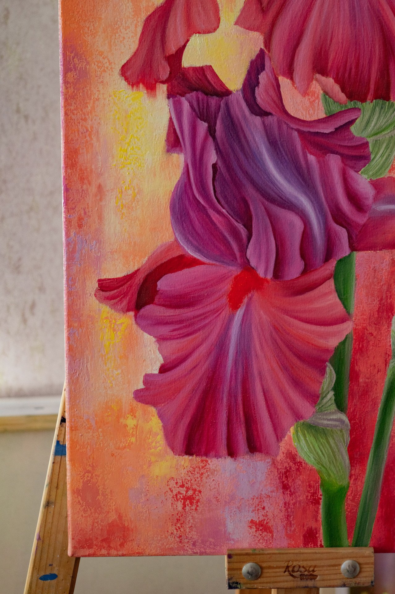 Irises - order