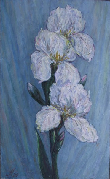 Irises are white. Painting by Valentine Negresco