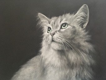 Painting "Dreamer cat Pets Soft Pastel" | Artist J PastelArt | Jose Art Gallery