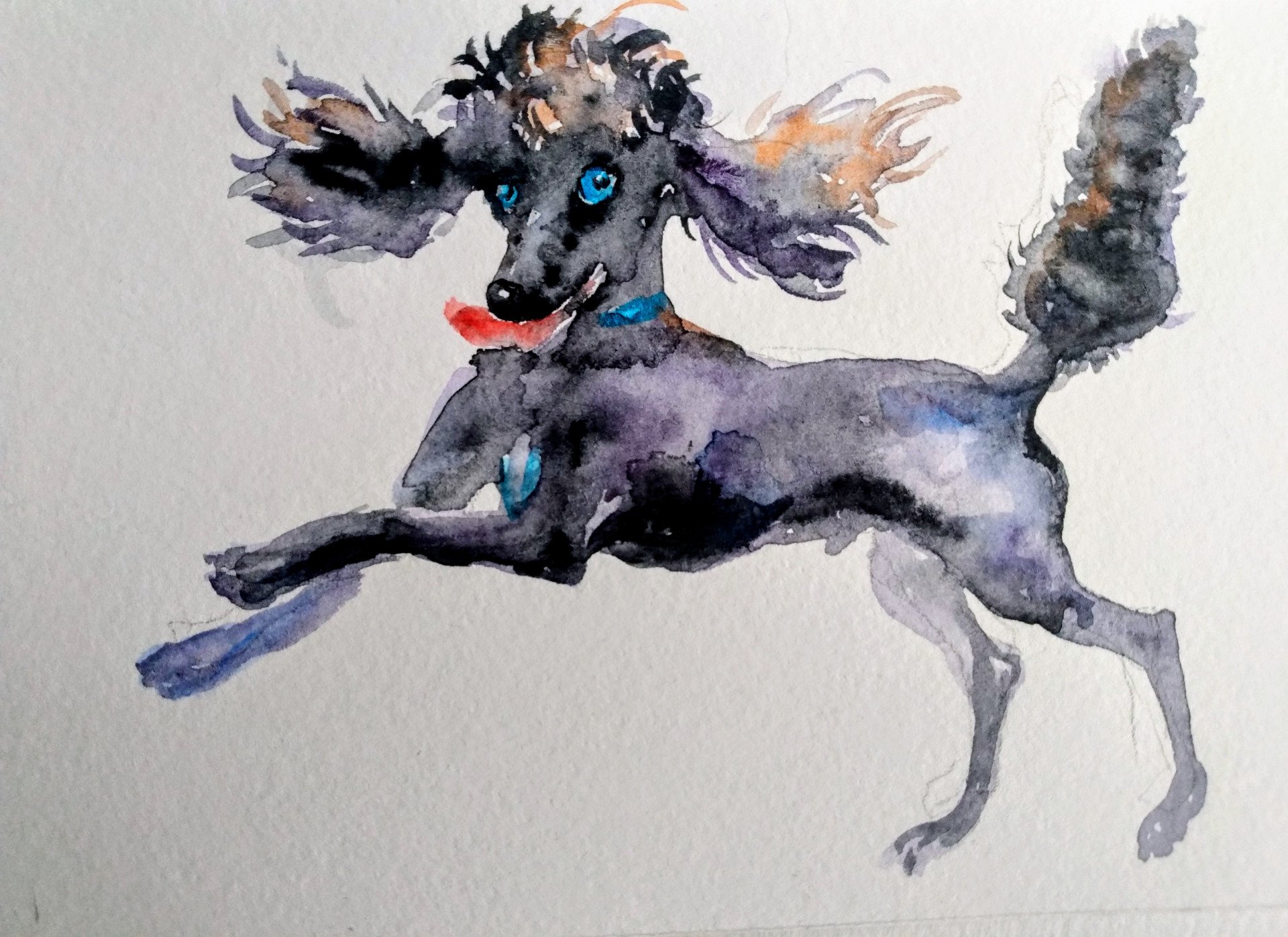 Spot Encastrable LED MURID Rond Blanc EDO – Diamètre 8 Cm, IP20, 230V – Pour Plafond Intérieur