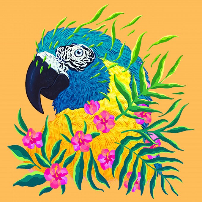 Parrot Bird And Leaves Art - Jose Art Gallery