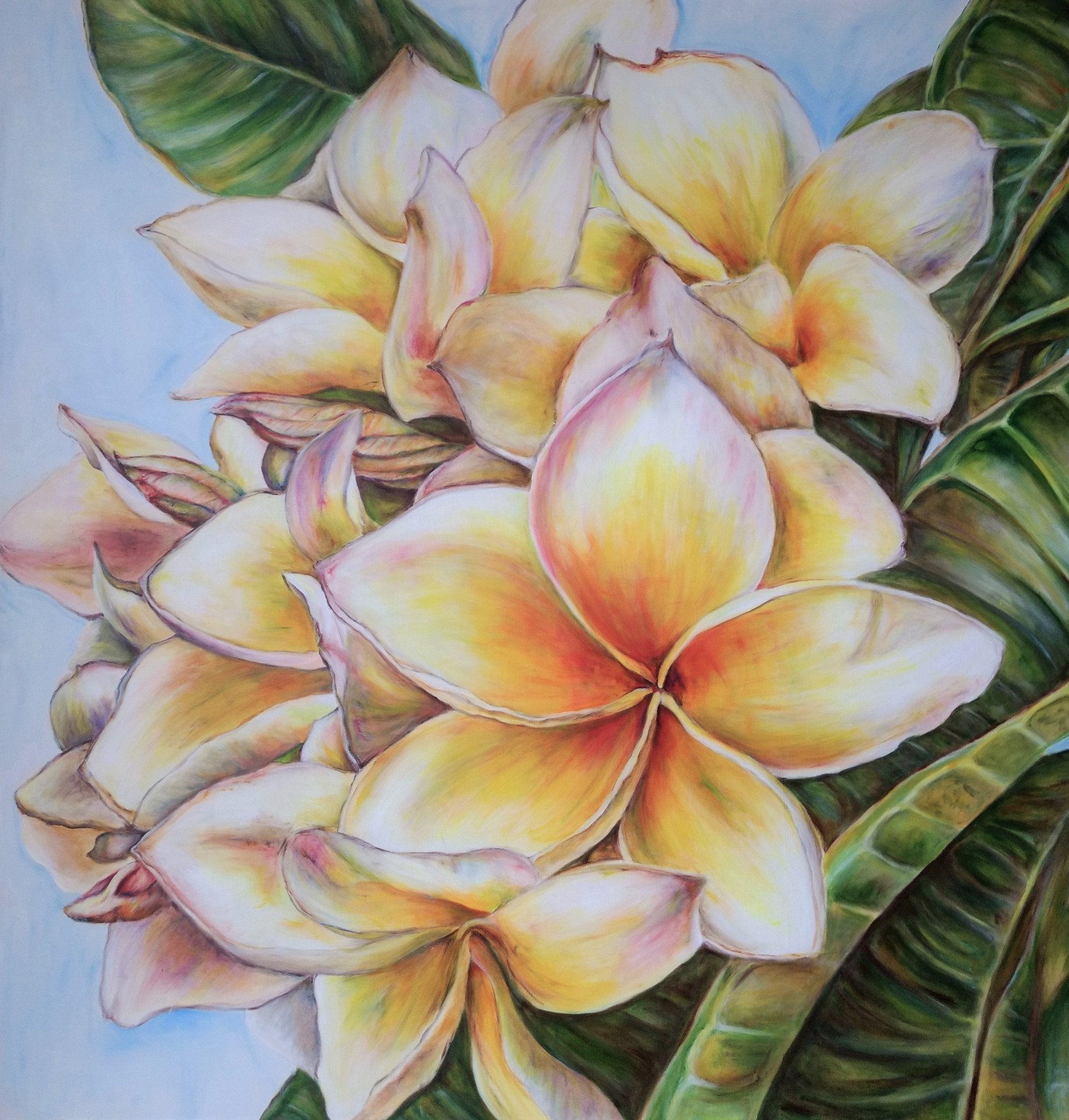 Frangipani Painting by Birgit Deuschle Jose Art Gallery