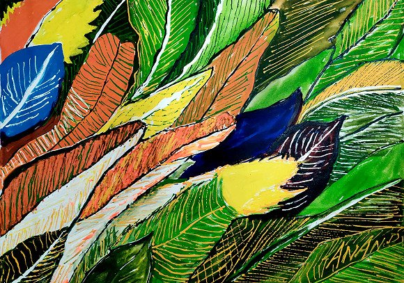 PARROT FEATHERS