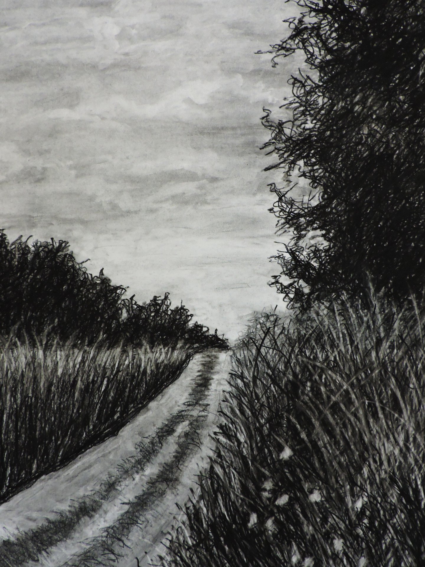 landscape-drawing-thumb1920.jpg