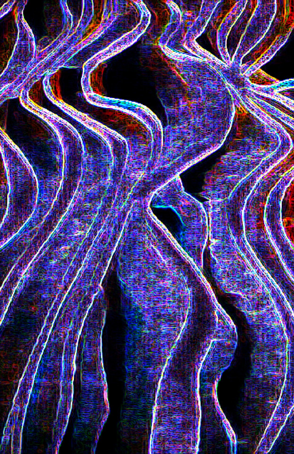 Underside of a Mushroom/purple Painting by Jacqueline Jermyn