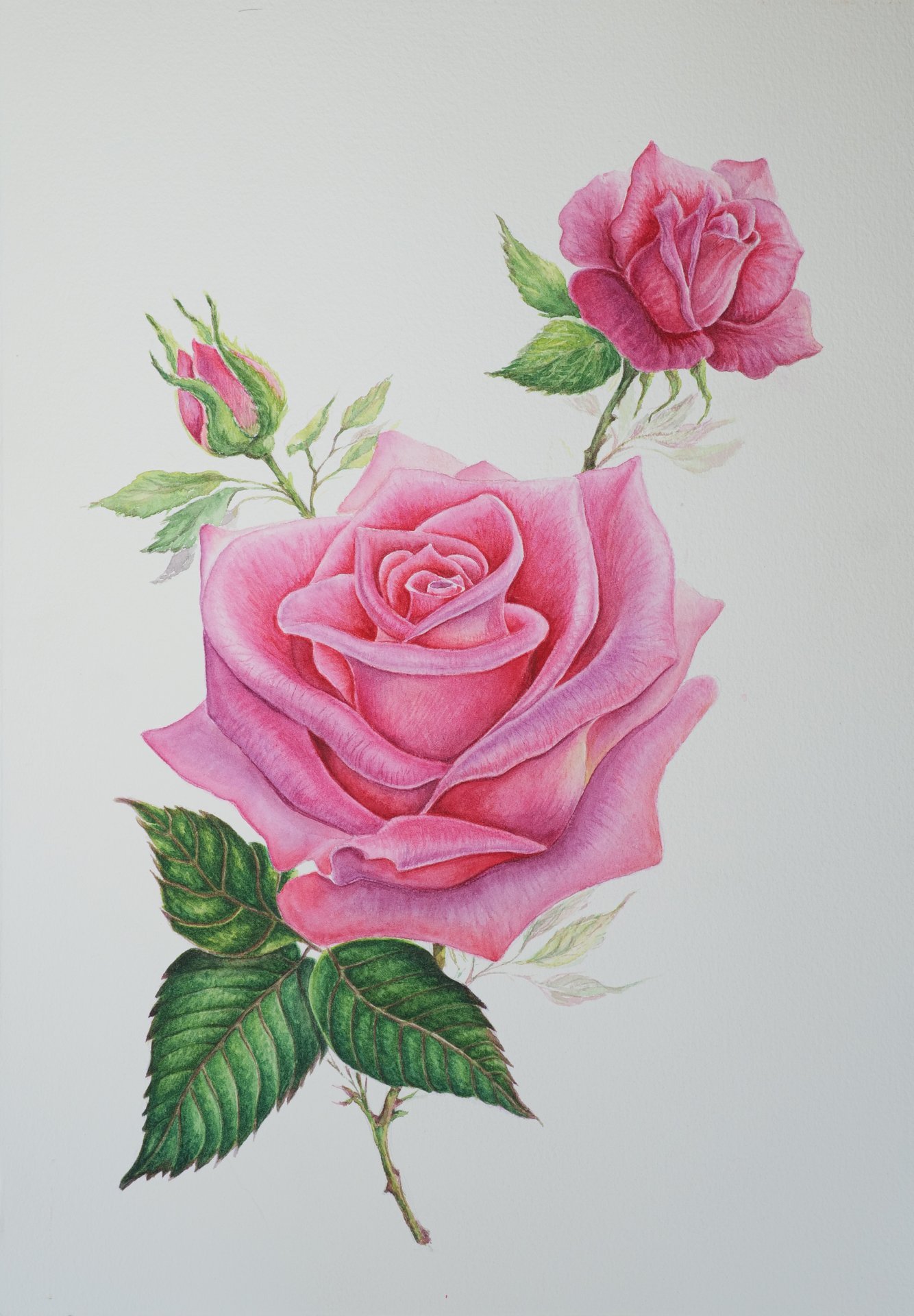 Roses Painting by Tetiana Vlasenko - Jose Art Gallery